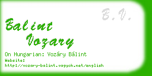 balint vozary business card